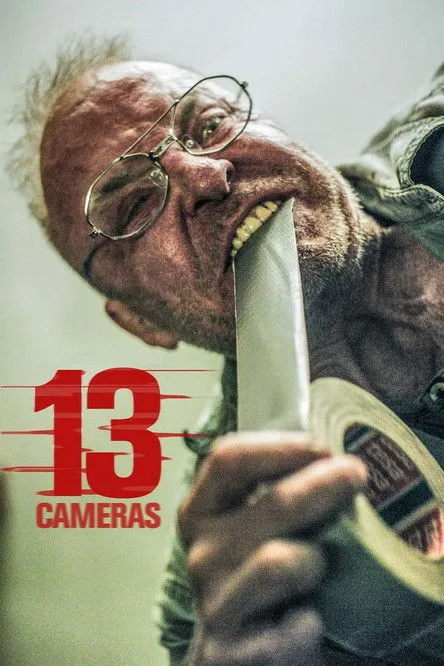 Póster de 13 Cámaras