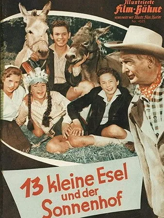 Póster de la película 13 kleine Esel und der Sonnenhof