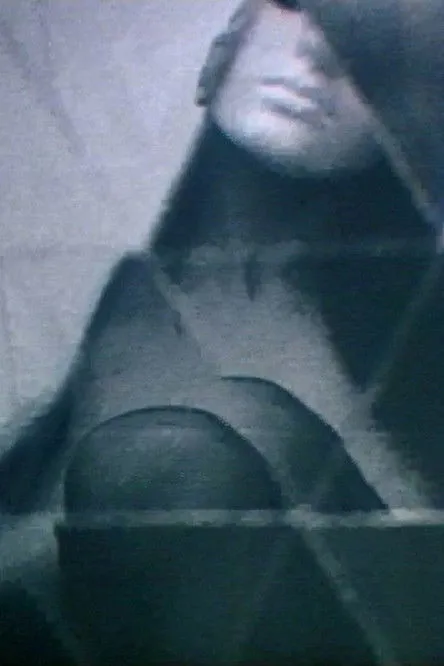 Penny Slinger interpreta a en 1969 Exhibit