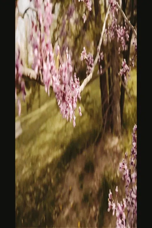 Robert V. Velasquez interpreta a Desert Spirit en 3/1 and 3/3 (Bountiful Gems)