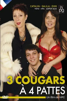 Póster de la película 3 Cougars à 4 Pattes