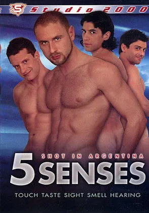 Póster de 5 Senses