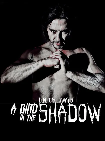 Portada de A Bird In The Shadow