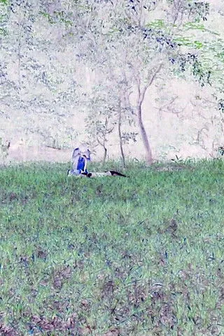 Guido Dutra interpreta a Guido en A Caixa Preta