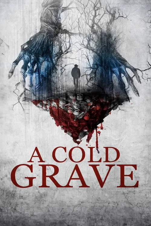 Póster de A Cold Grave
