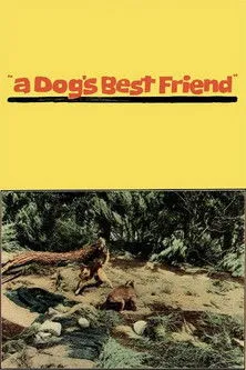 Portada de A Dog's Best Friend