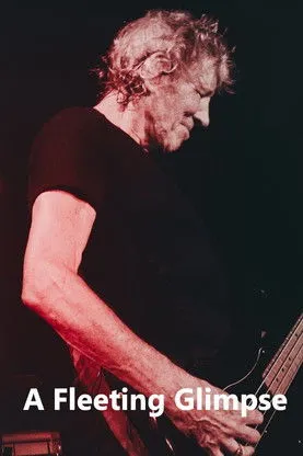 Póster de la película A Fleeting Glimpse