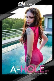 Póster de A-Hole Vol. 2