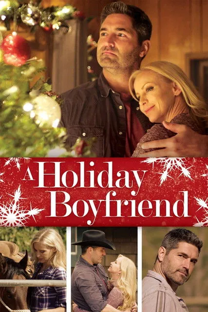 Póster de A Holiday Boyfriend