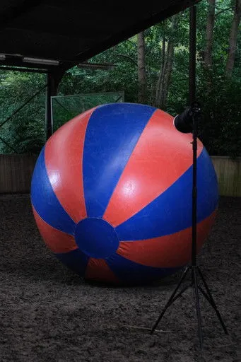 Joerie Widdershoven interpreta a en A horse is a horse of course of course