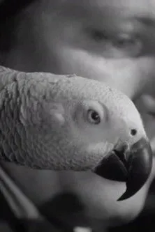 John Arlott interpreta a Narrator en A Journal of the Outdoors No. 11