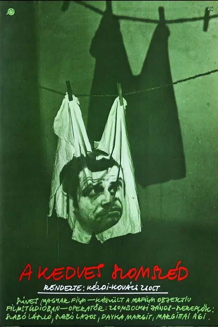 Csilla Herczeg interpreta a  en A kedves szomszéd