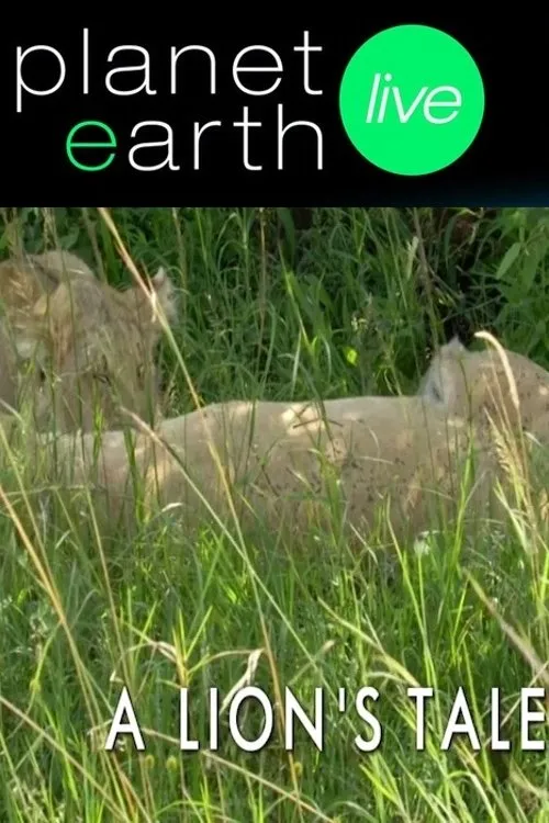 Póster de A Lion's Tale
