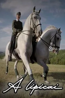 Ádám Lux interpreta a narrátor en A lipicai