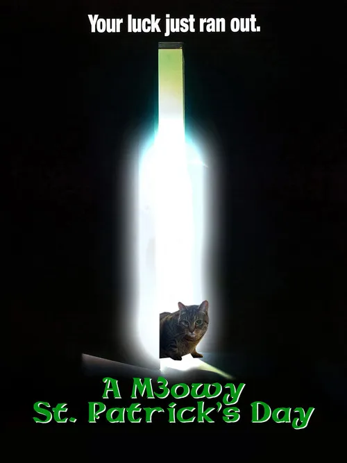 Portada de A Meowy St. Patrick's Day