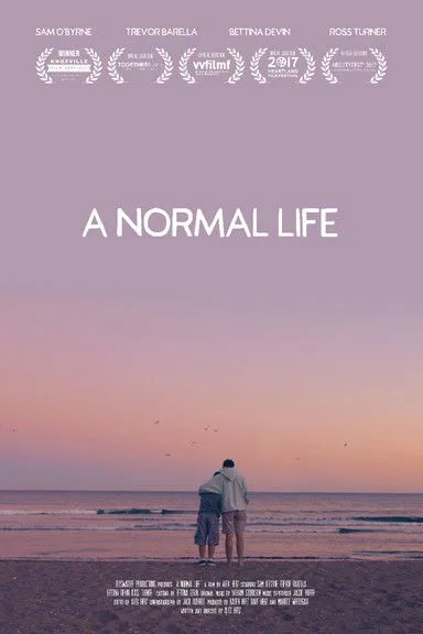 Póster de A Normal Life
