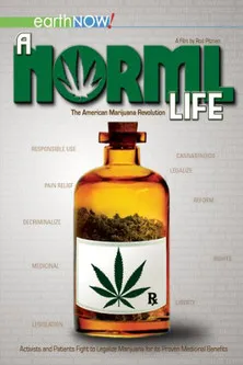 Póster de A Norml Life