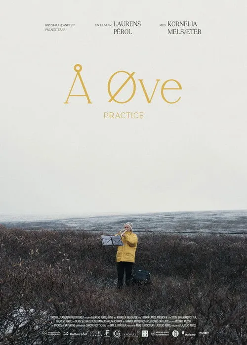 Maxim Vengerov interpreta a Violin-teacher behind the door (Cameo) en Å øve