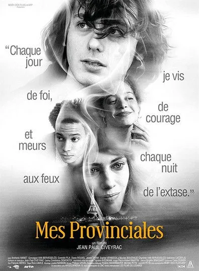 Póster de A Paris Education