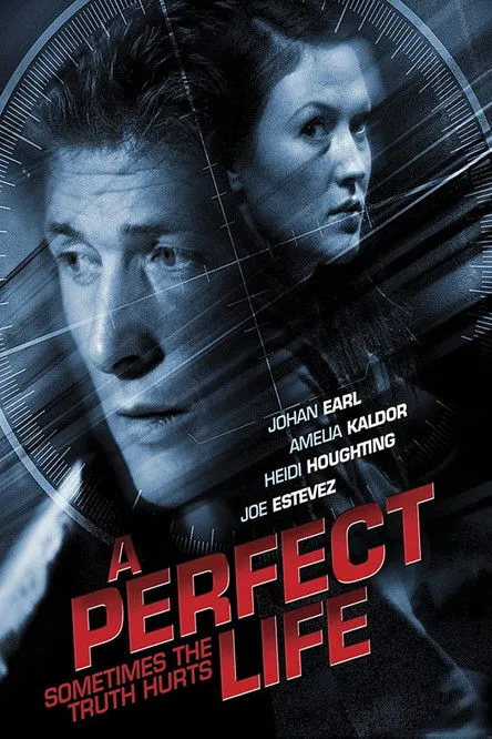 Póster de A Perfect Life