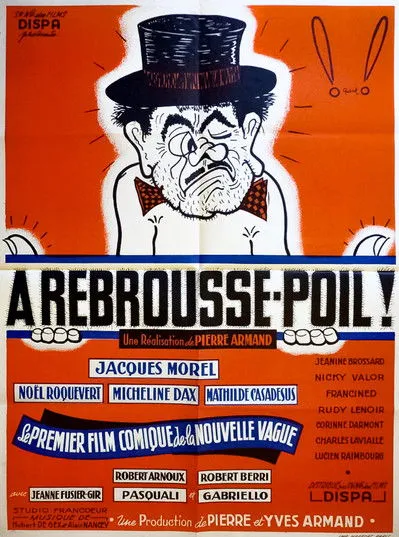 Póster de la película À rebrousse-poil