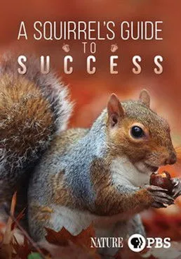 Ana Gasteyer interpreta a Narrator en A Squirrel's Guide to Success