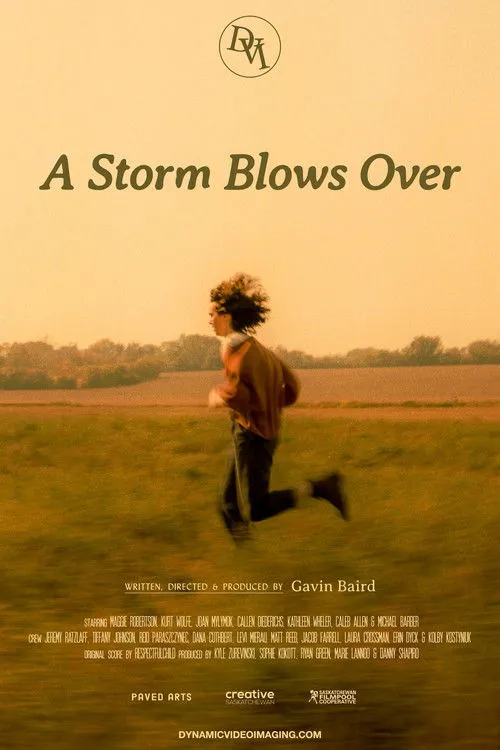 Póster de A Storm Blows Over