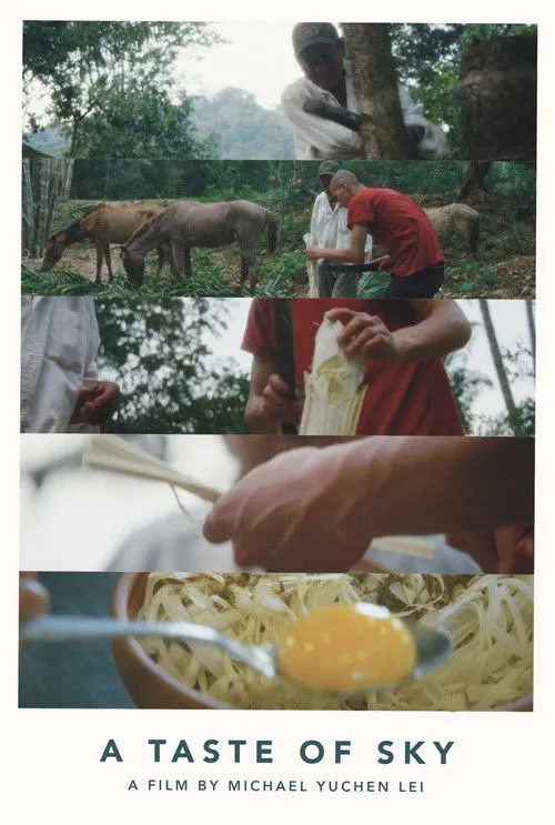 Póster de A Taste of Sky