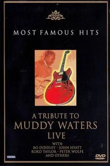 Póster de A Tribute to Muddy Waters - Live