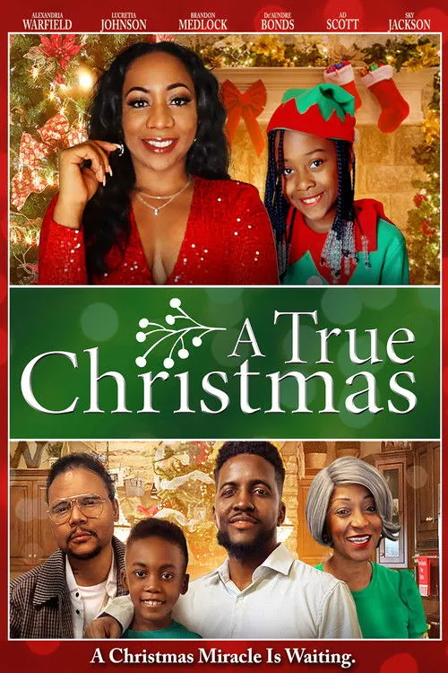 Póster de A True Christmas