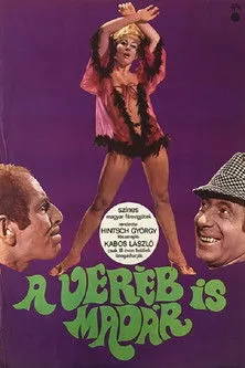 László Csurka interpreta a Szállodatitkár en A veréb is madár