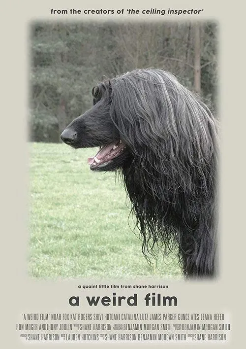 Gunce Ates interpreta a Partner B en A Weird Film