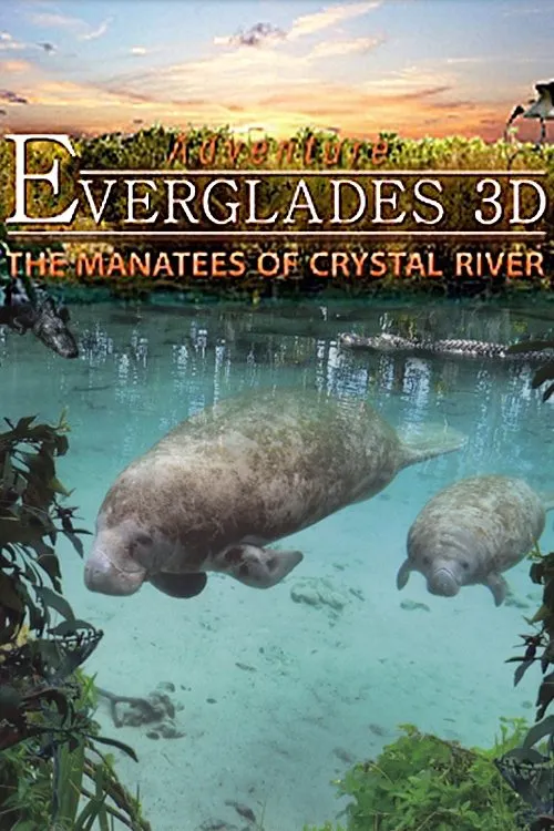 Portada de Abenteuer Everglades - Die Manatis des Crystal River