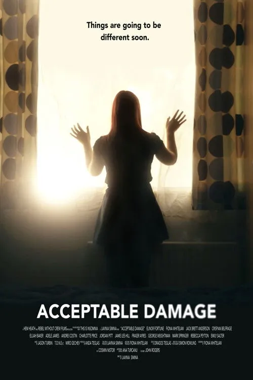 Póster de Acceptable Damage