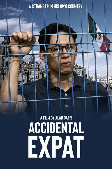 Póster de Accidental Expat