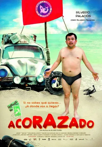 Póster de Acorazado