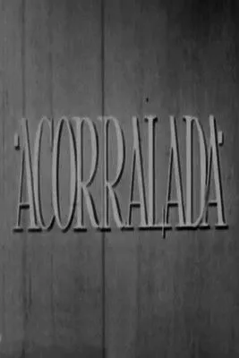 Portada de Acorralada