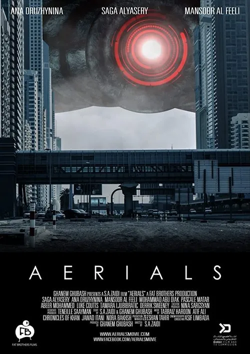 Póster de Aerials
