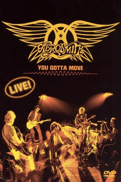 Póster de Aerosmith - You Gotta Move