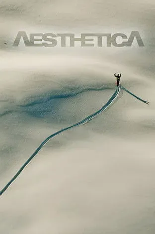 Póster de Aesthetica