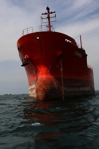 Portada de Afetos de betão – Zopo Lady