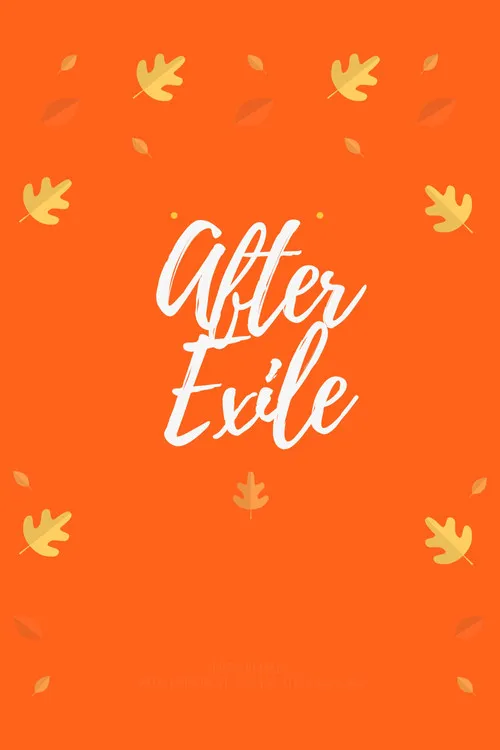 Póster de la película After Exile