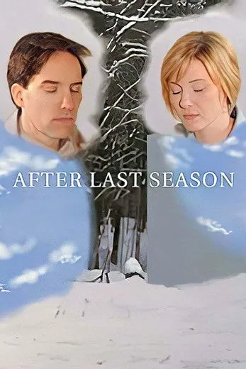 Póster de After Last Season