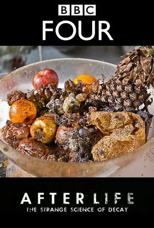 George McGavin interpreta a Himself en After Life: The Strange Science of Decay