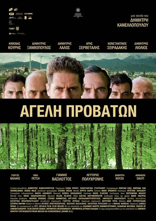 Póster de Αγέλη Προβάτων