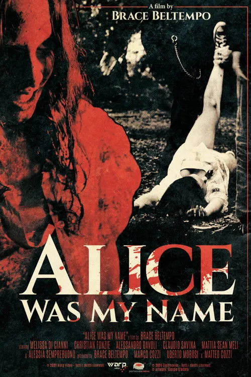 Póster de Alice was my name