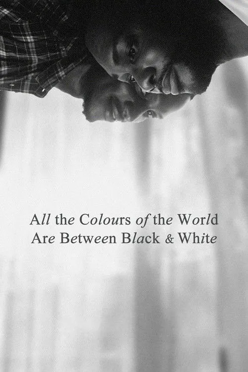 Póster de All the Colours of the World Are Between Black and White