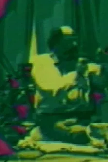 Peter Orlovsky interpreta a  en Allan ‘n’ Allen’s Complaint