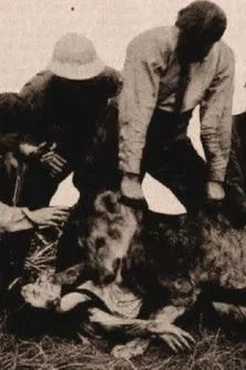 Eddie James interpreta a Harold Brown en Alone in the Jungle