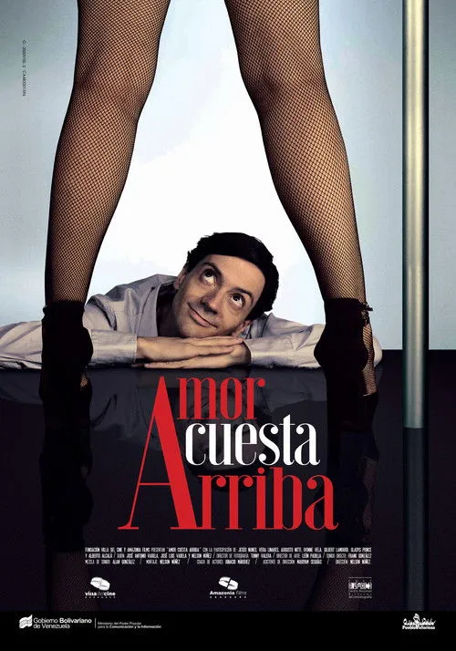 Póster de Amor Cuesta Arriba